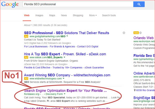 Florida SEO professional-1st page-results
